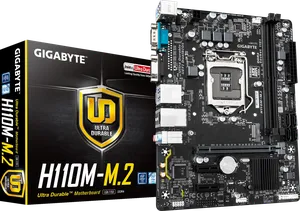 H110M-M.2 (Rev. 1.2)
